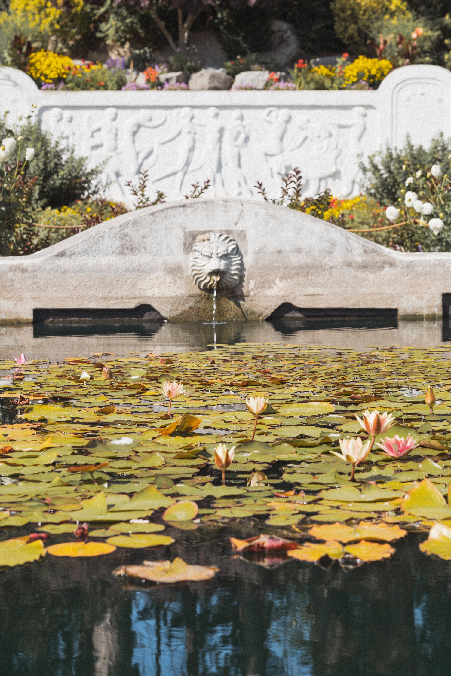 Connect with Nature at These Breathtaking Seattle-Area Gardens